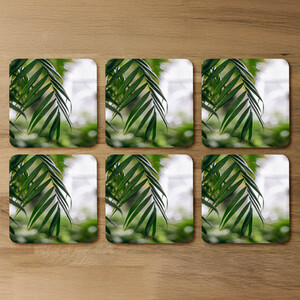 Closeup of green palm leaf Designer Coaster Set