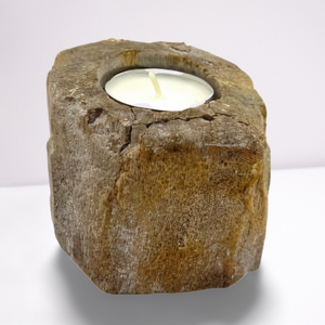 Petrified Wood Candle Holder Single Low