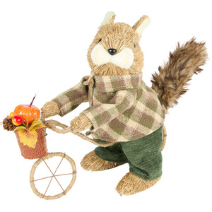 Autumnal Squirrel