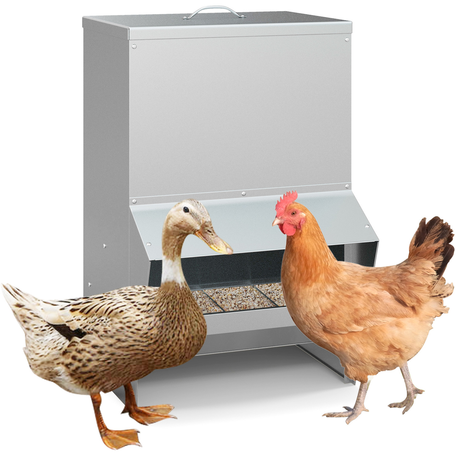 Image of Automatic Poultry Feeder - Silver