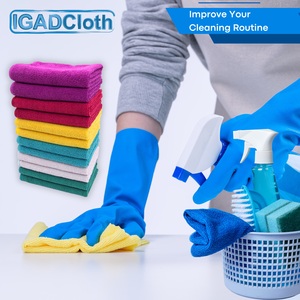 IGADPole Window Cleaning Bucket With Microfibre Cleaning Cloths
