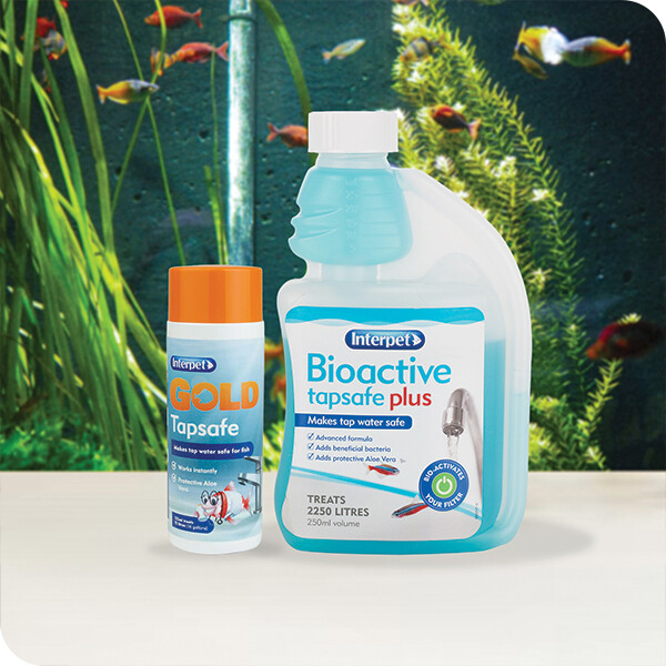 Aquarium Treatments Healthcare