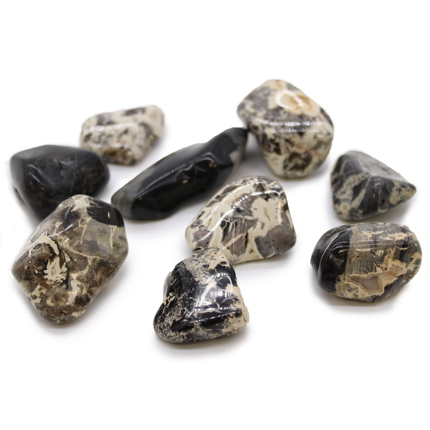 Silverleaf Jasper XL Tumble Stones, Natural Leaf Pattern Polished - Black