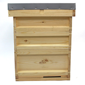 National Pine Bee Hive Starter Kit