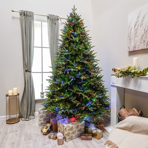 7.5ft Winchester Fir Artificial Pre-Lit PE Christmas Tree