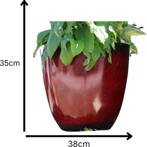 Egg Planter 30cm