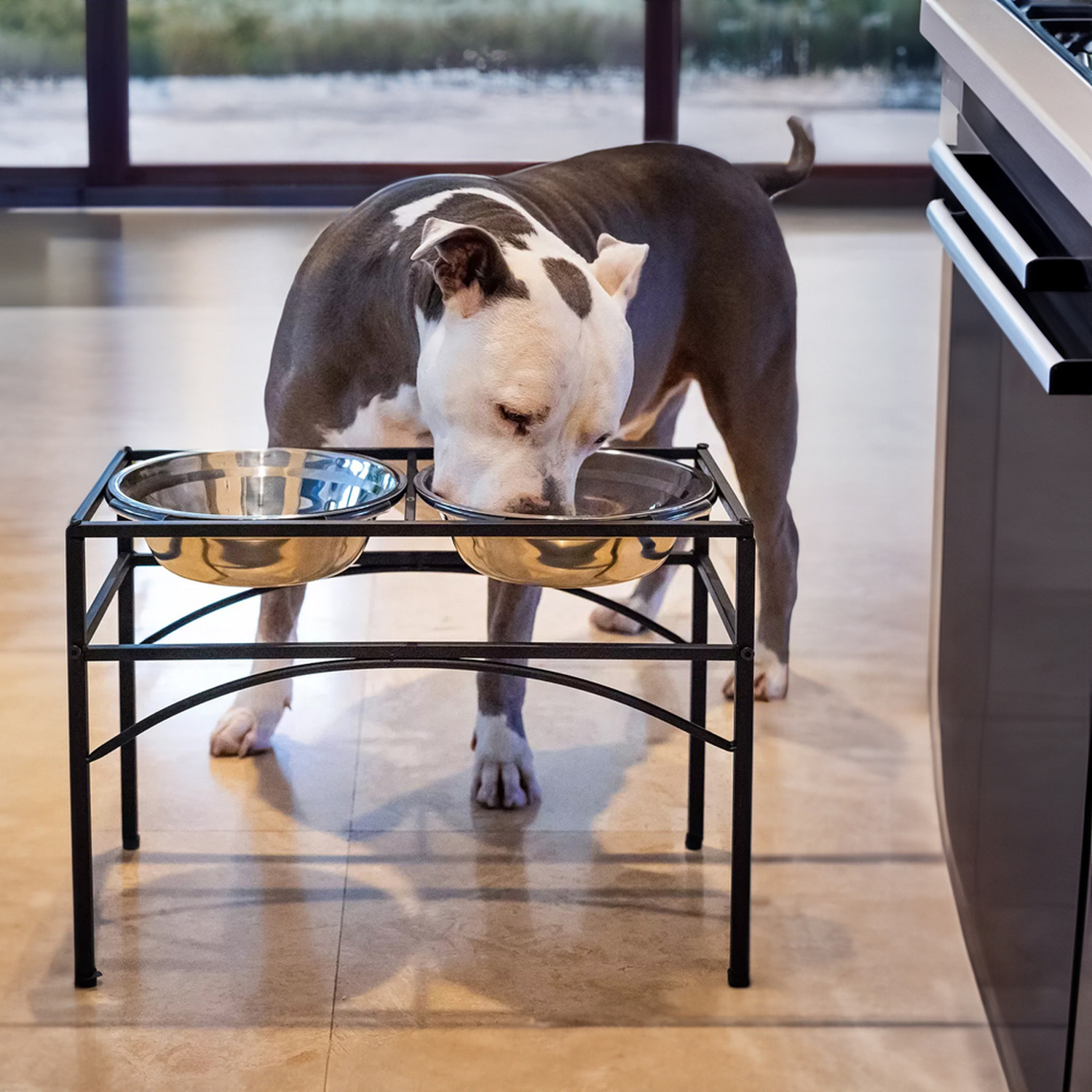 Step-Design Elevated Dog Feeder with Double Bowls