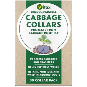 Cabbage Collars Biodegradable Root Fly Protection 30 Pack
