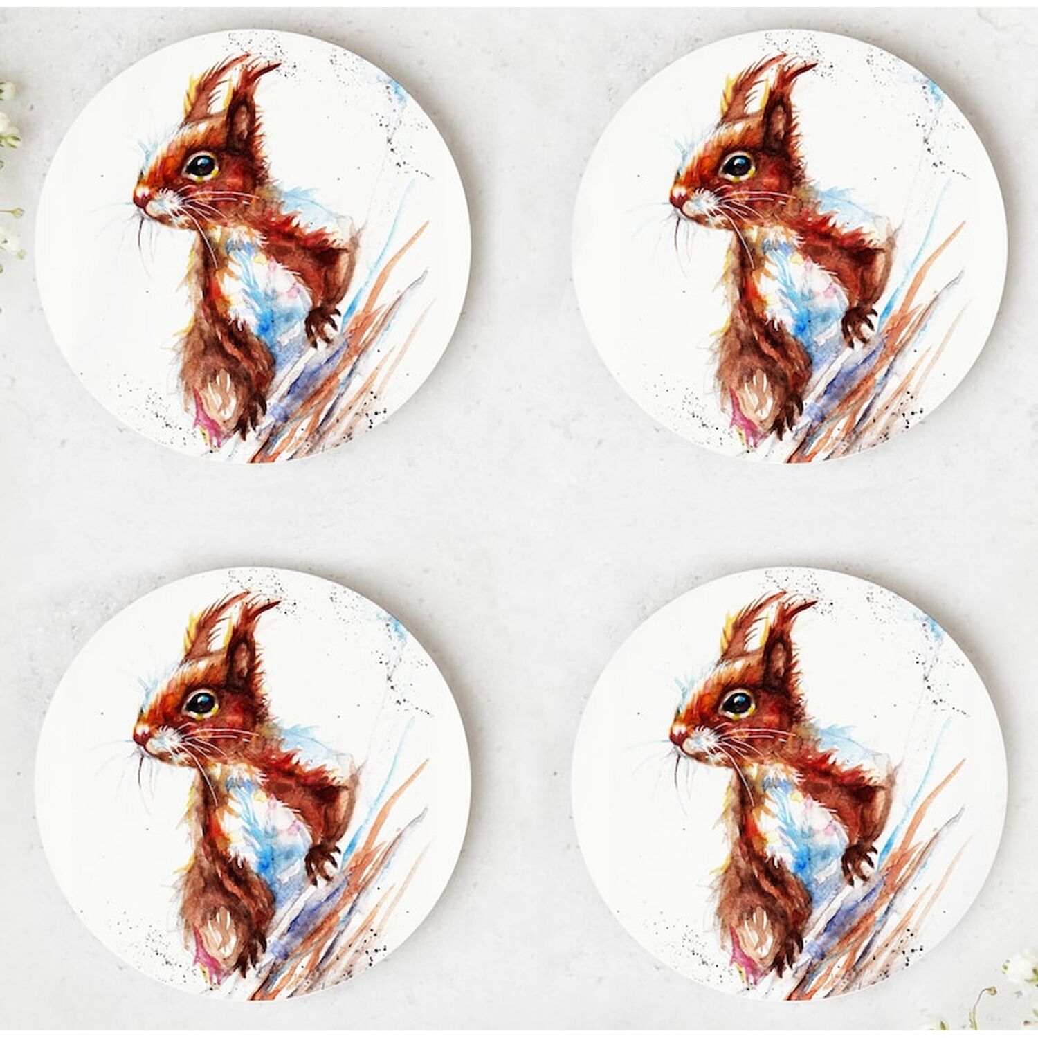Image of Red Squirrel Coasters - Brown
