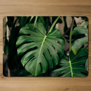 Monstera Leaves in home interior Designer Placemat Set