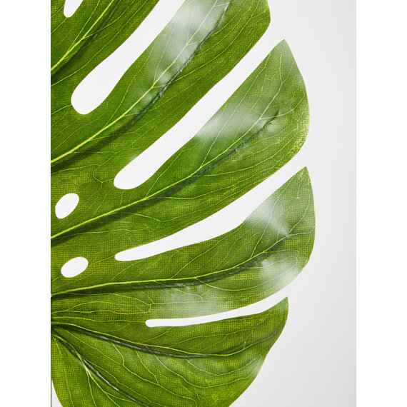 Fiori Tall Monstera Palm Stem