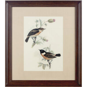 Framed Birds 2 Wall Art