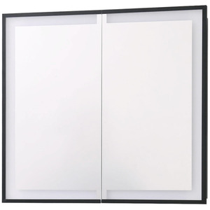 LED Bathroom Mirror Cabinet with Adjustable Shelves