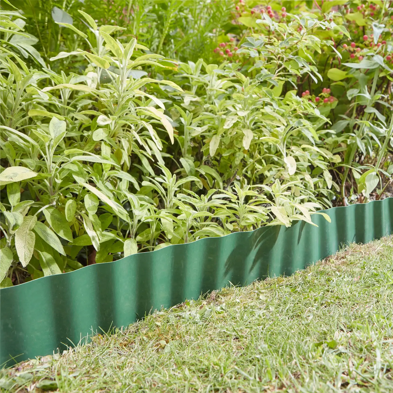 Smart Garden 15Cm X 10M Plastic Lawn And Path Border Edging Roll