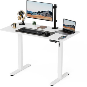Medium Electric Standing Desk with 3 Heights