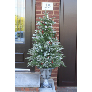 The Outdoor Frosted Fir Tree