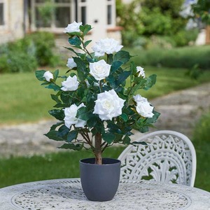 Green,White Artificial Rose Bush Tree Potted Plant In White shot 7345500