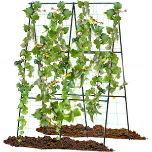 Outdoor Trellis for Climbing Plants