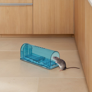Set of Humane Mouse Trap Cages