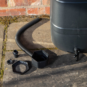  shot 8377254