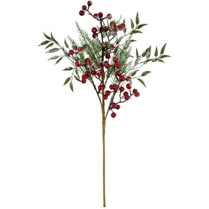Snow Cypress and Berry Pick