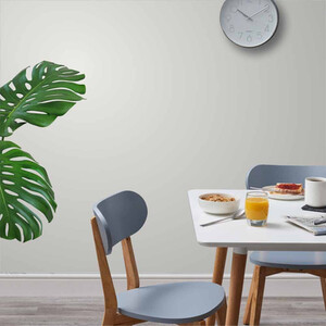  shot 10380001