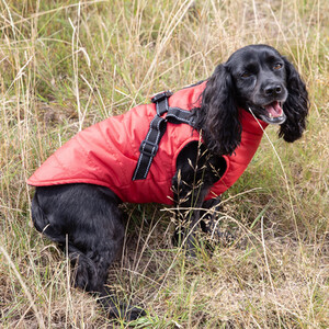 Dog Harness Jacket