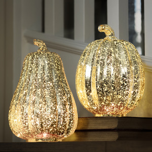 Set of 2 Pumpkin and Squash Decorations