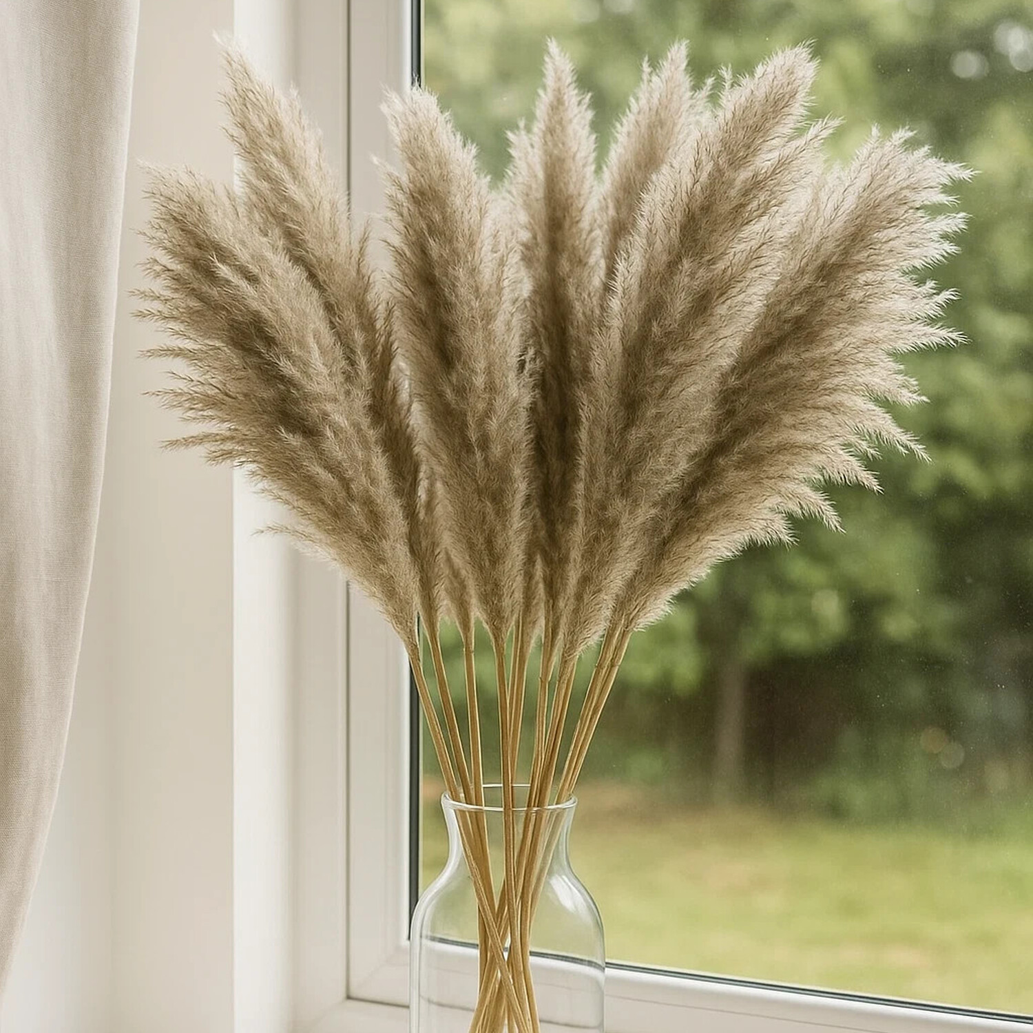 Large Pampas Grass Reeds