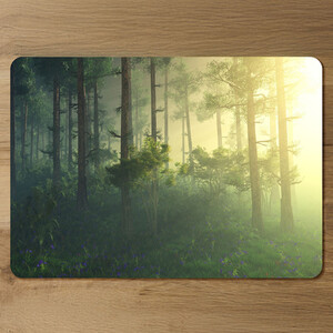 Sun, trees in a haze of light, glowing fog among the trees Designer Placemat Set