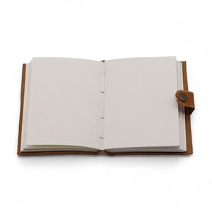  shot 12763909