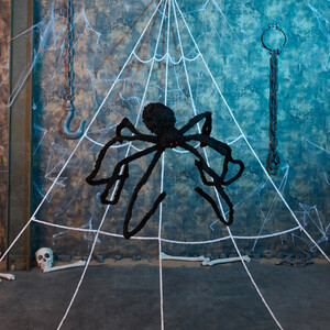 Giant Spider Web