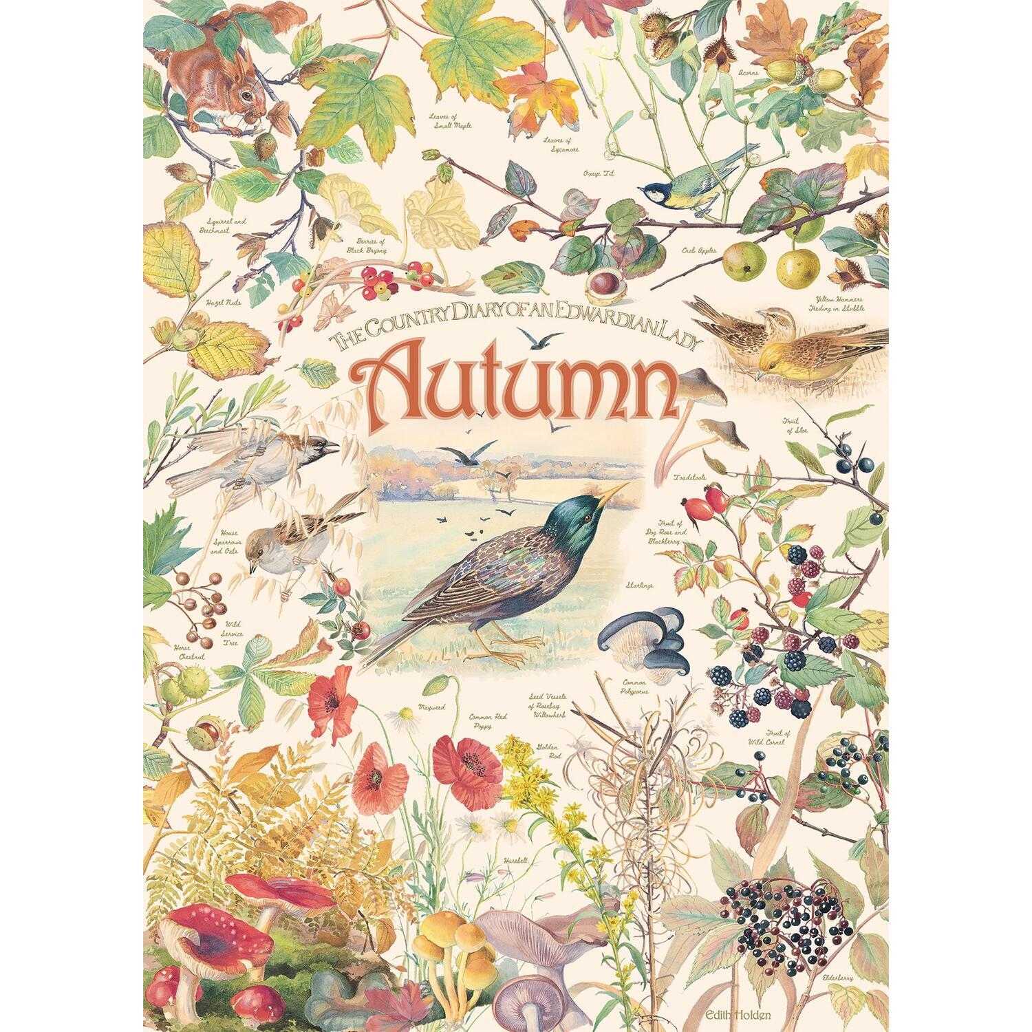 Country Diary Autumn 1000 Piece Jigsaw Puzzle