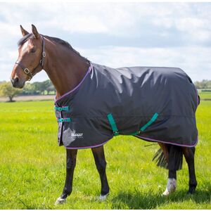 Tempest Original 300 Horse Turnout Rug