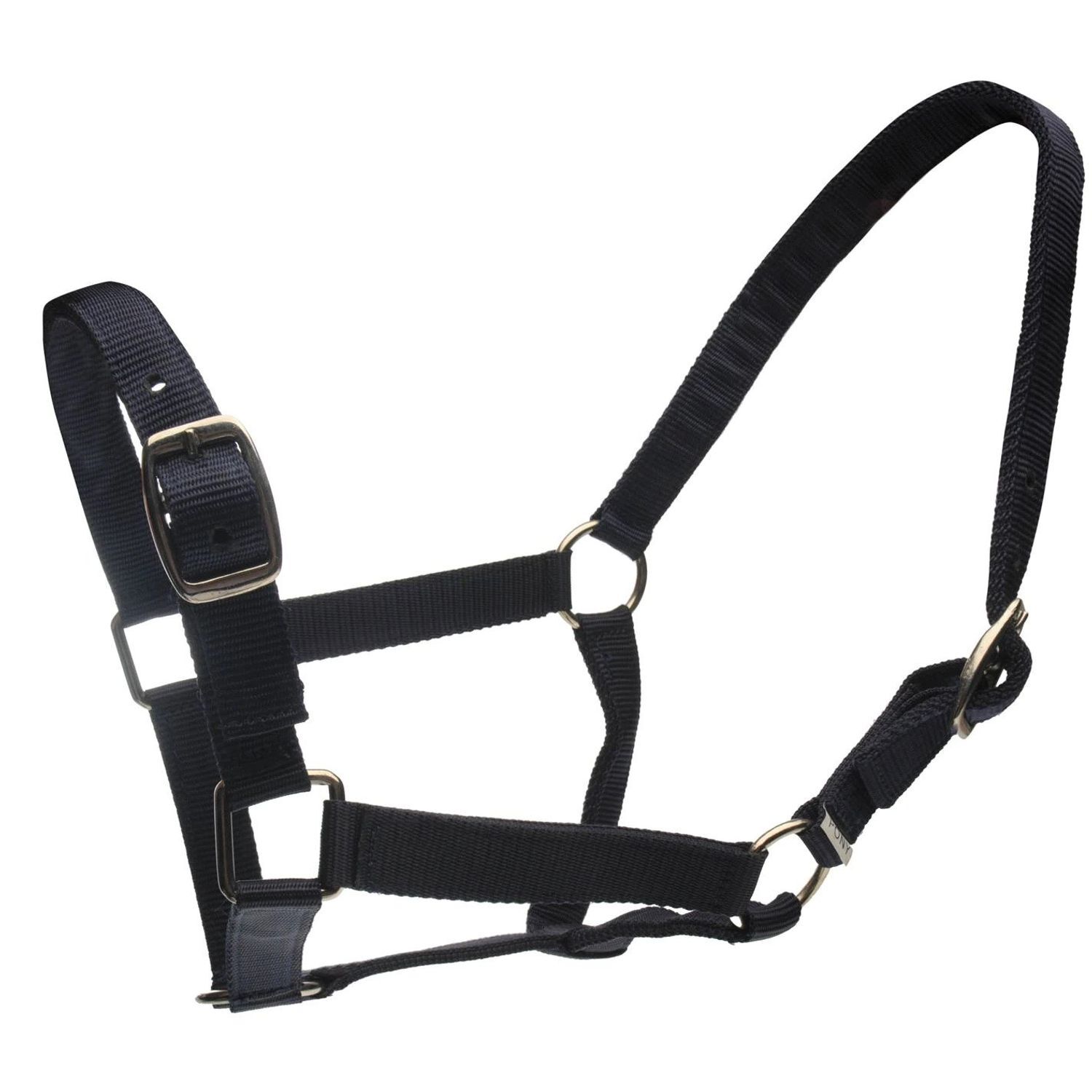 Roma Horse Headcollar And Leadrope - Navy