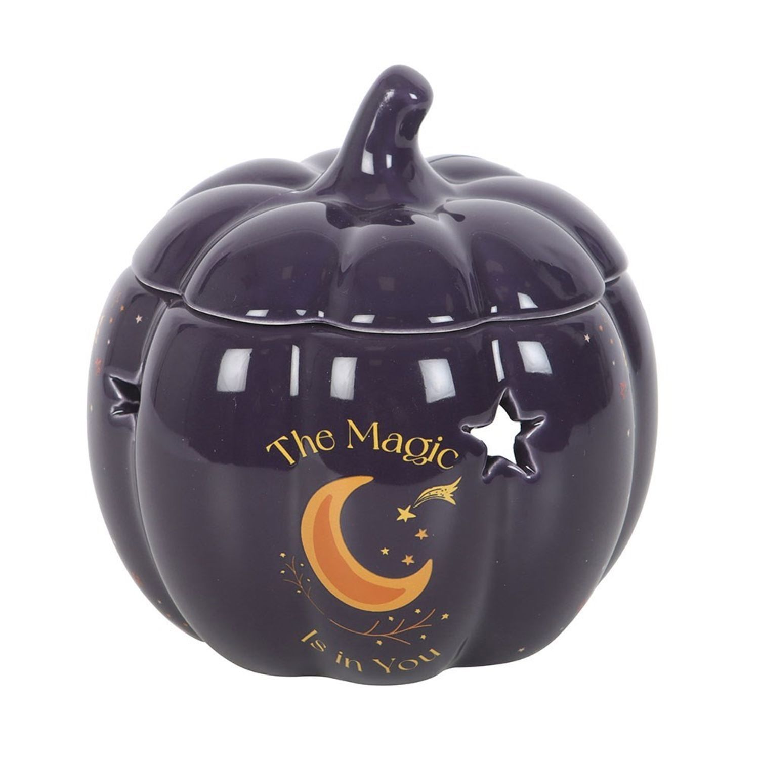 Something Different The Magic Is In You Pumpkin Oil Burner - Midnight Blue