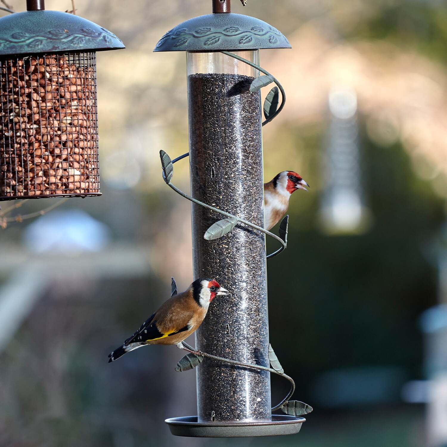 Image of Peckish Secret Garden Spiral Finch Feeder&hellip;