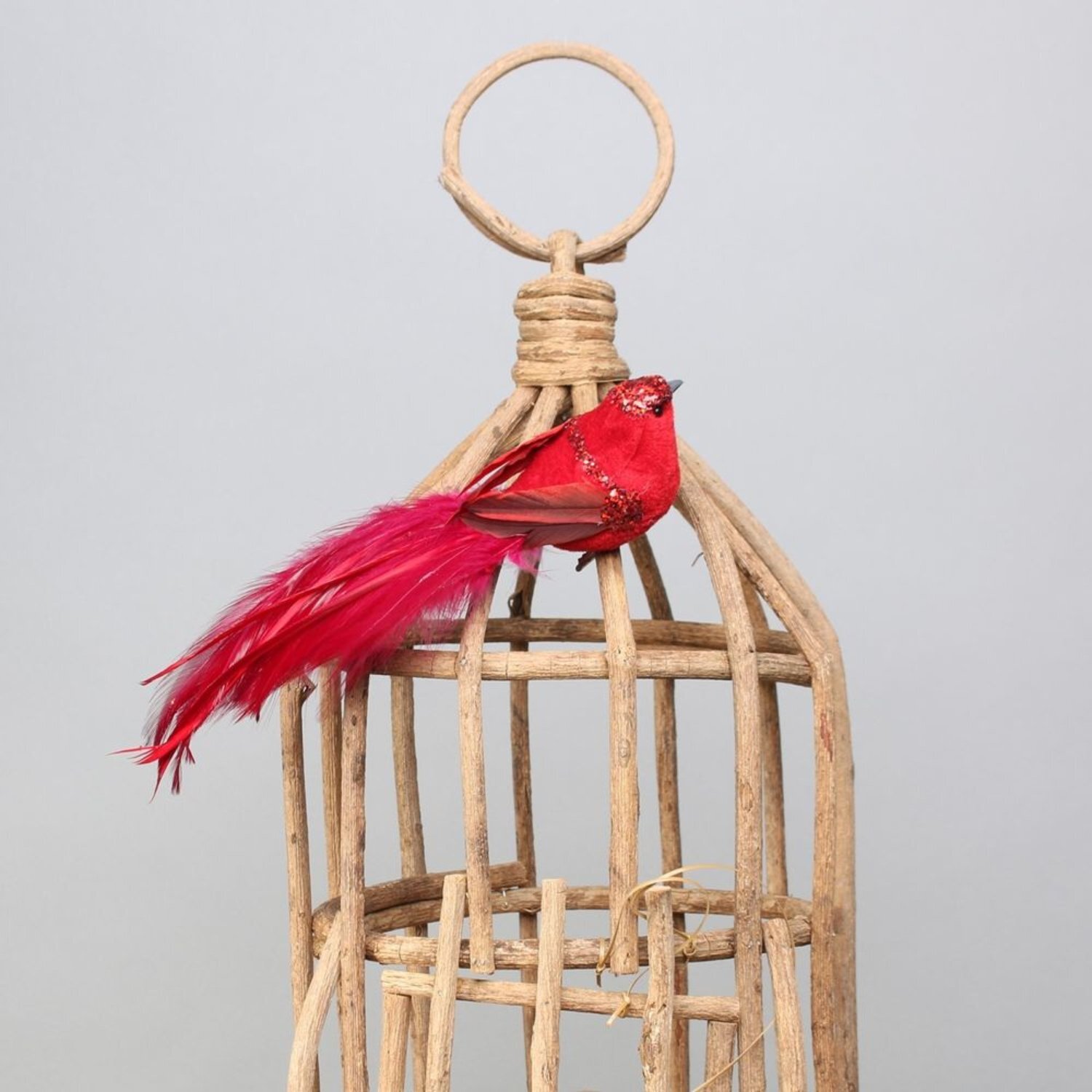 Kdmd Unisex Red Princess Bird With Clip 4 Pack - Image 2
