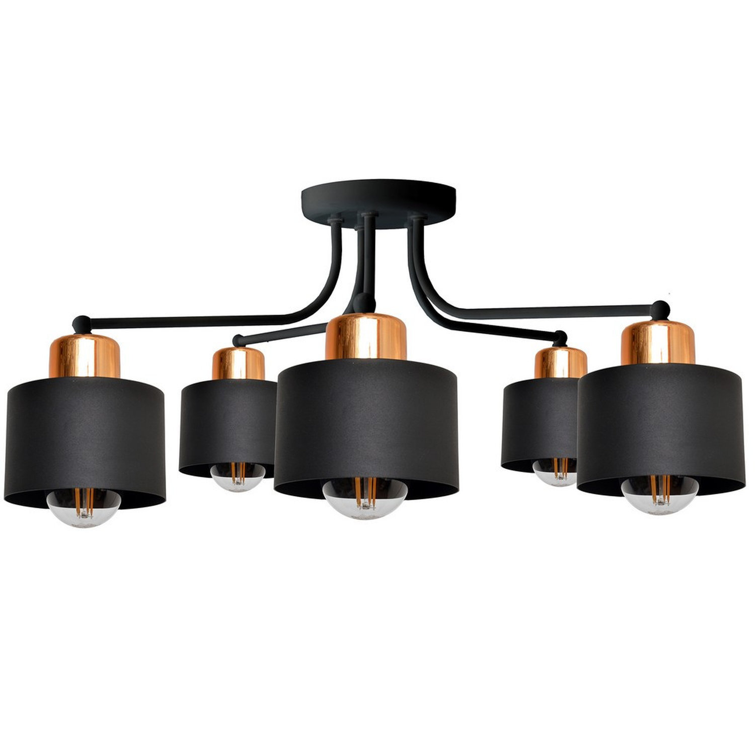 Helam Lighting Edison Ceiling Light Black