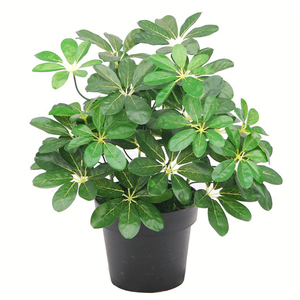 Dark Green Artificial Schefflera Arboricola Plant