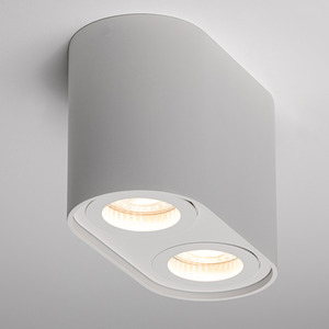 CGC SANSA Twin Round Cylinder Ceiling Down Spotlight