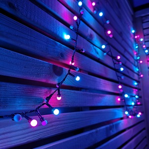 Frosted Berry Christmas String Lights