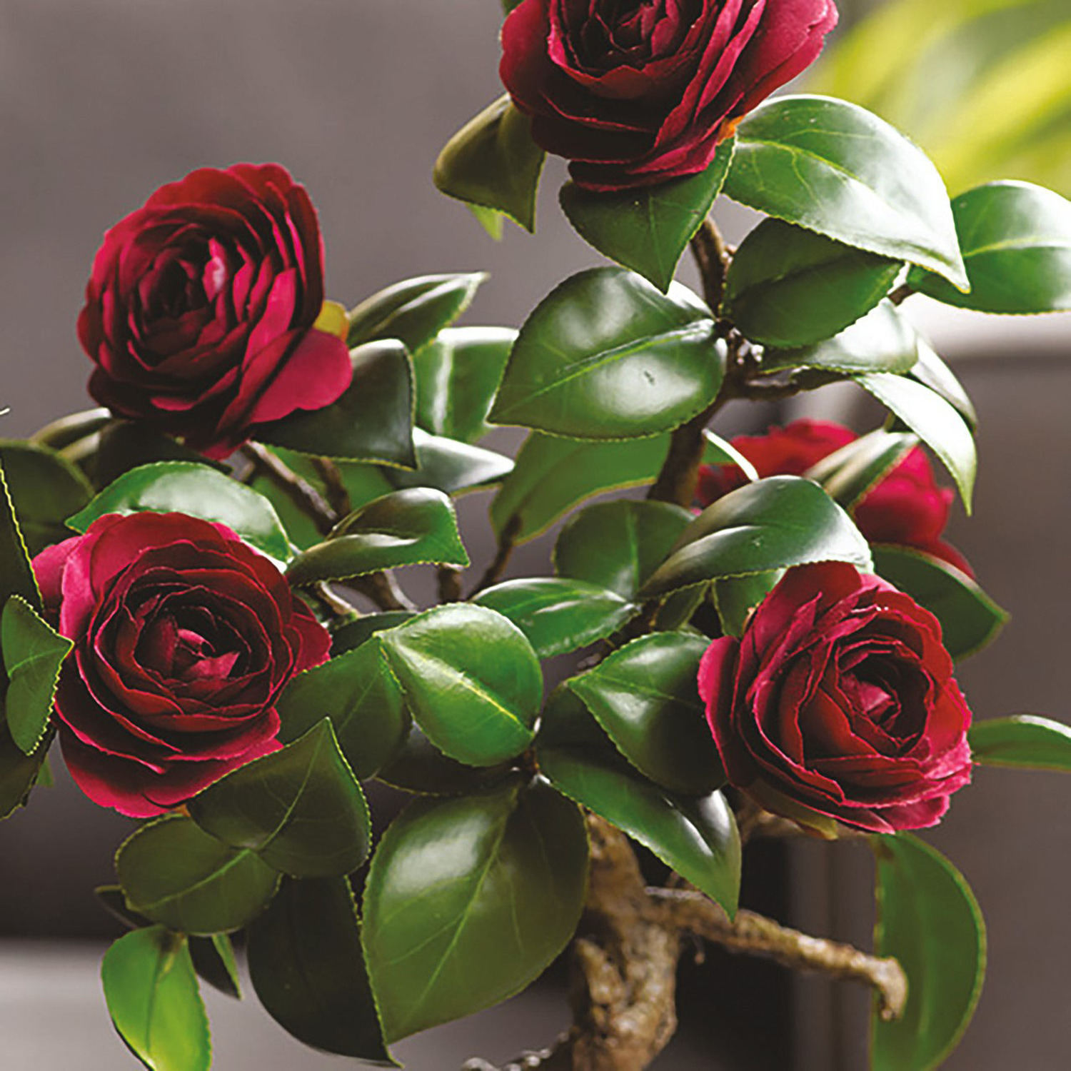Artificial Ruby Camellia Bonsai Tree Plant In Planter - Ruby