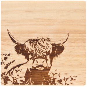 Pack of 4 The Highland Cow Coasters