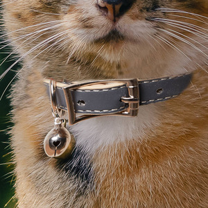 Banbury and Co Luxury Cat Collar Set
