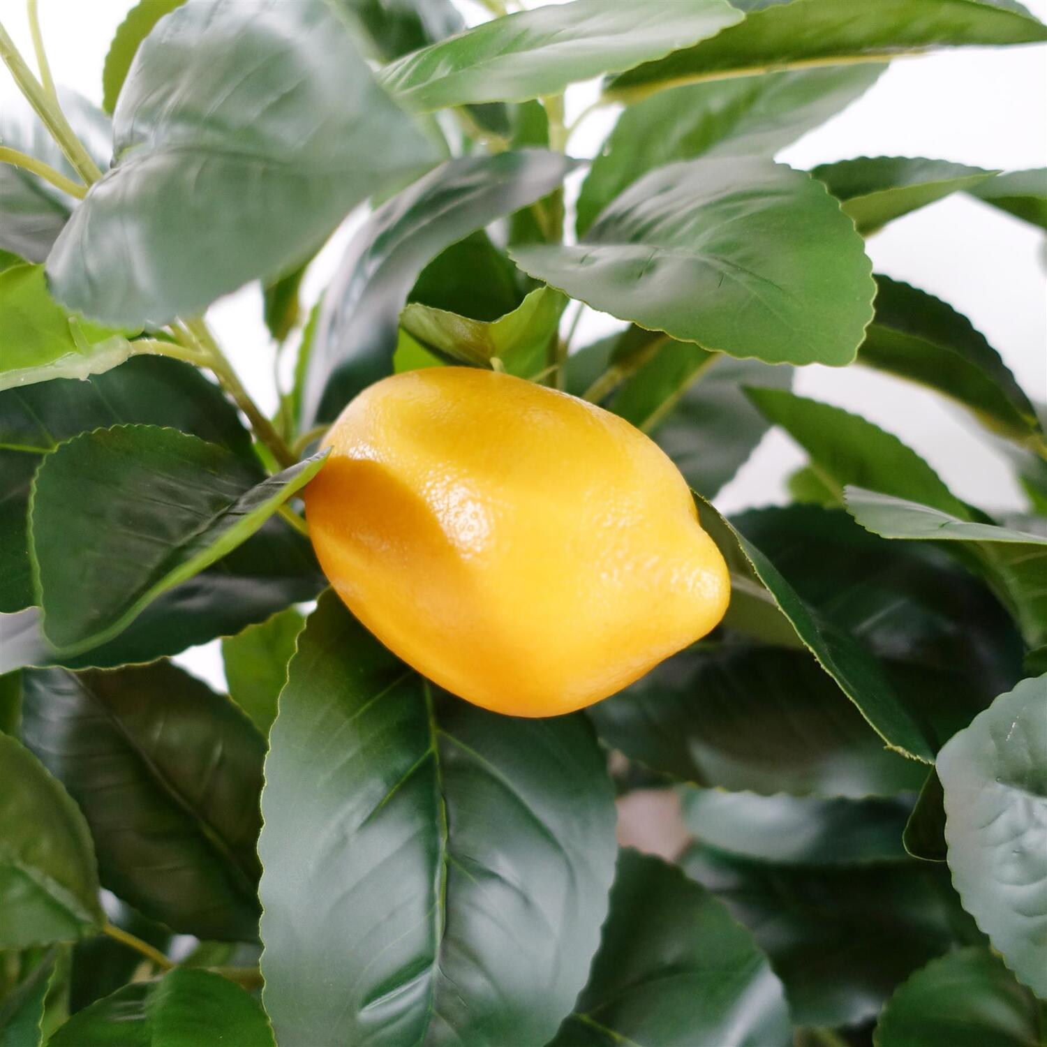 Leaf Design UK Artificial Lemon Tree Plant Black Plastic Pot - 150cm Premium Lemon Tree / 50cm