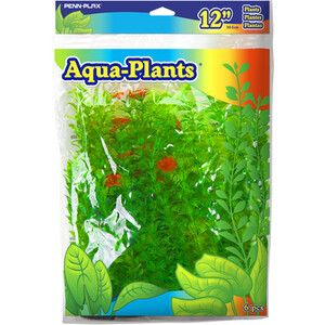 Pack of 6 Aqua Plants