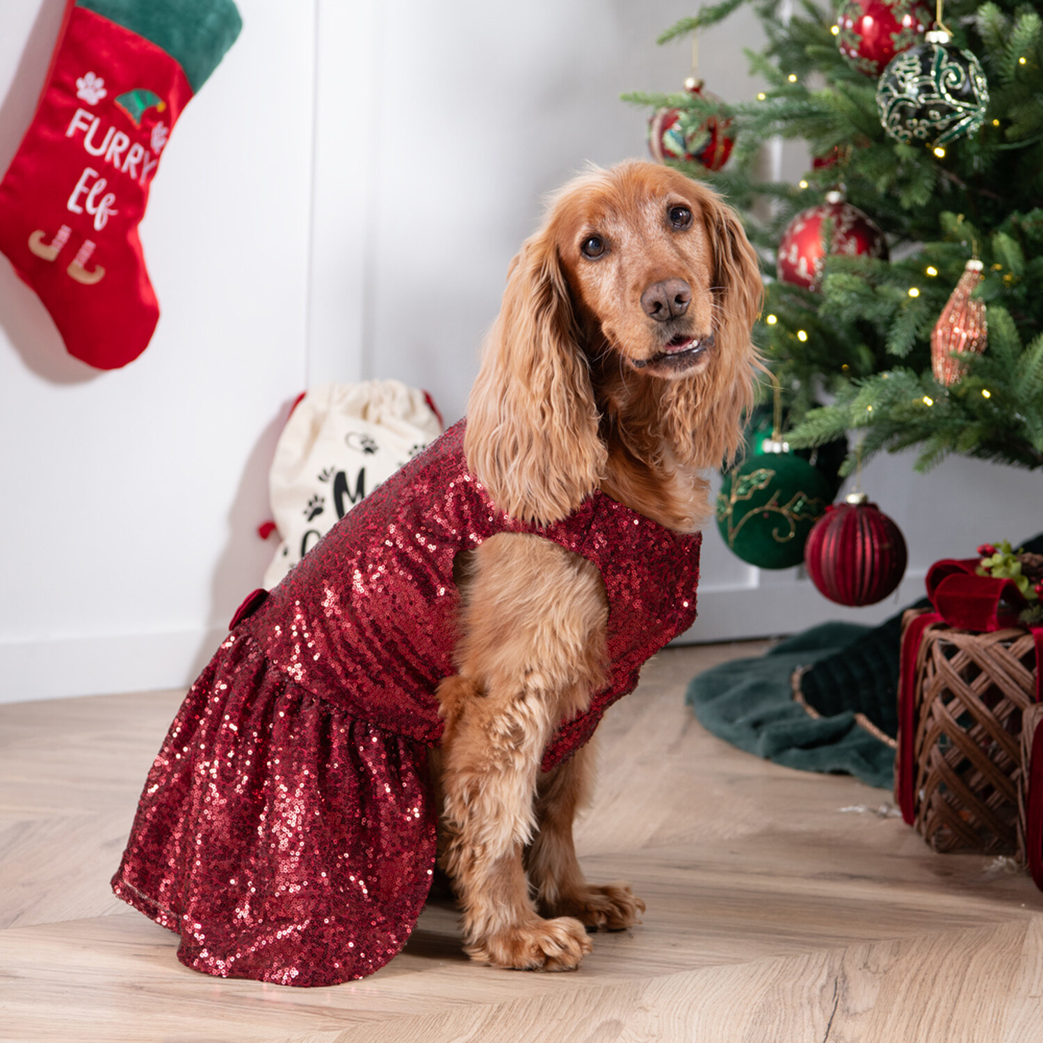Sparkly Christmas Dog Dress