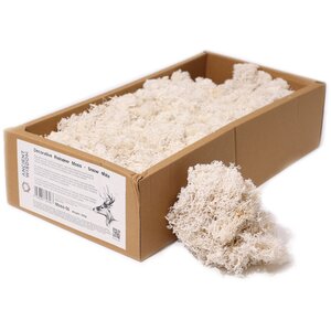 Snow White Reindeer Moss Decorative Craft Material