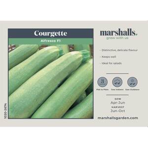 Marshalls Garden Courgette Seeds 'Alfresco' F1 - Creamy-Green, High-Yield, Pack of 10